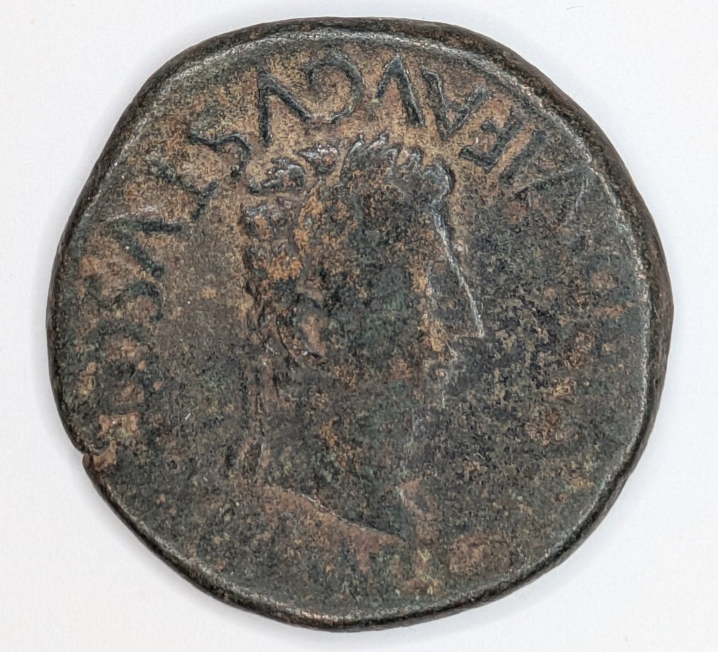 Spagna romana, Celsa. Augusto (27 a.C.-14 d.C.). As 27 a.C. - 14 d.C. - Contramarca “P"  (Senza prezzo di riserva) #1.0