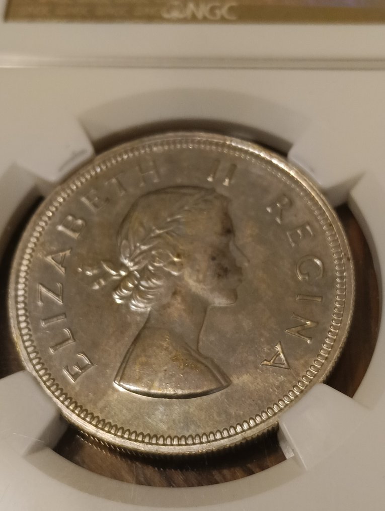 南非. Elizabeth II. 2 1/2 Shilling 1959 - Silver Proof - NGC PF 63  (没有保留价) #2.1