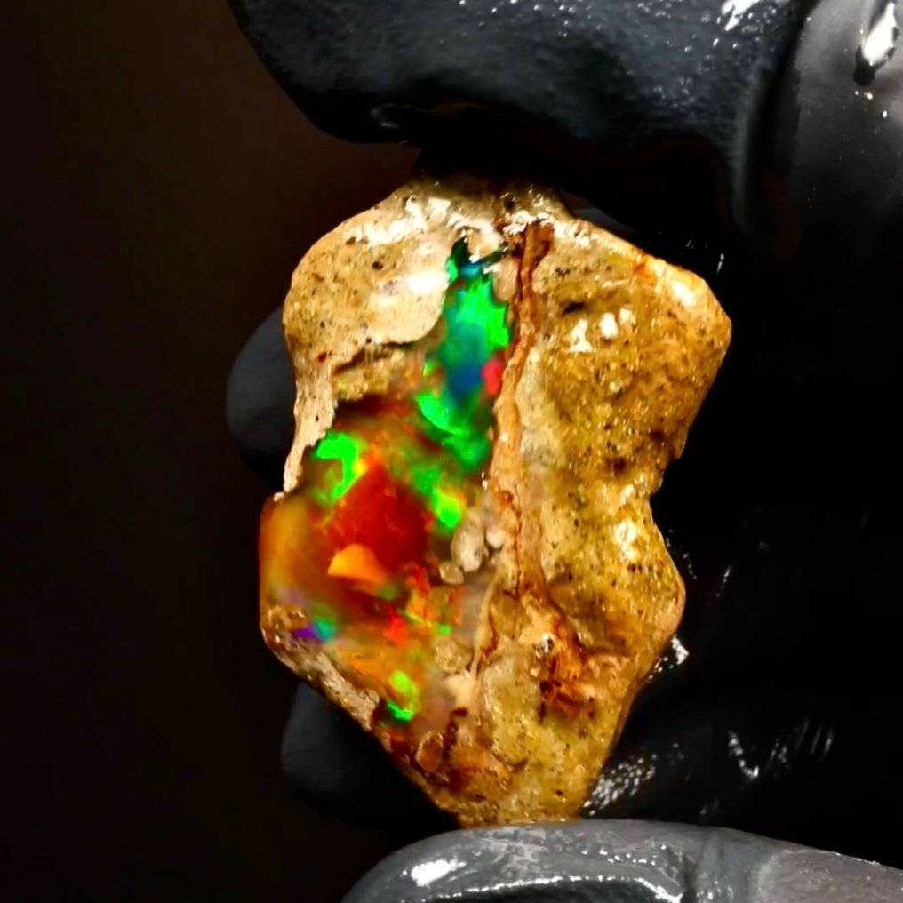 Φυσική κρυσταλλική όπαλη AAA+++ - χωρίς επεξεργασία - 84 καράτια. Δείγμα - Ύψος: 40 mm - Πλάτος: 25 mm- 16.8 g - (1) #4.3