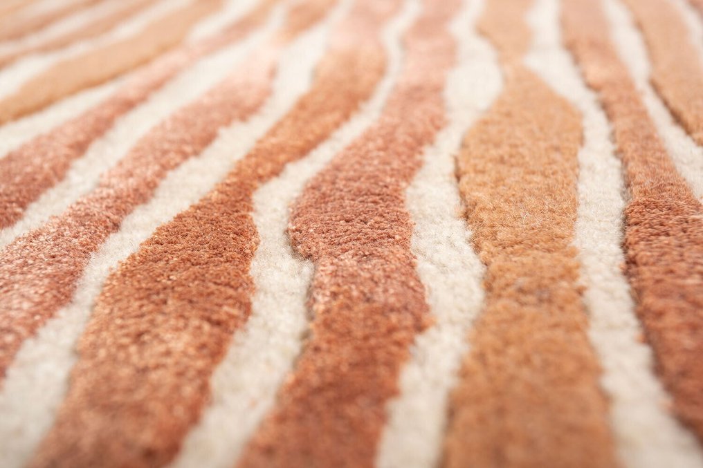 Jaipur Rugs - 手工簇绒 - 小地毯 - 240 cm - 300 cm - Lucid 免费配送 #2.1