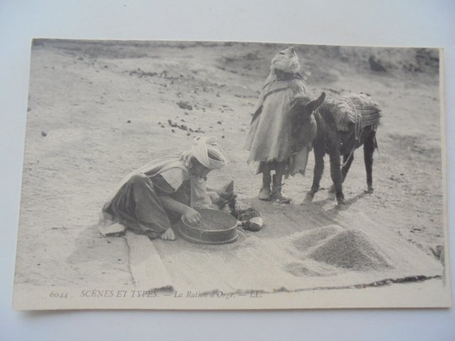 Βόρεια Αφρική: Σκηνές και τύποι - Καρτ-ποστάλ (85) - 1900-1960 #3.2