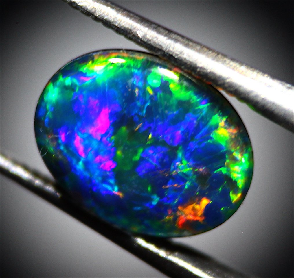 Ct. 1,30 høj kvalitet australsk opal triplet - Cabochon - Højde: 9 mm - Bredde: 7 mm- 0.26 g #1.0
