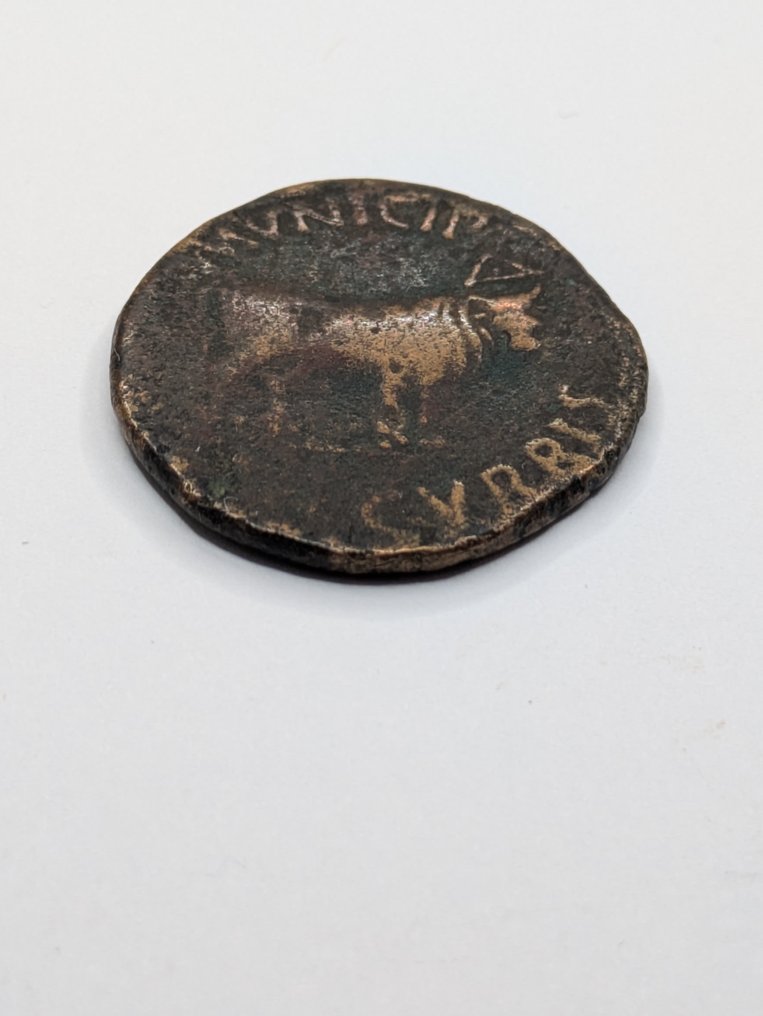 Hispania, Graccurris. Tiberius (AD 14-37). As  (No reserve price) #2.1