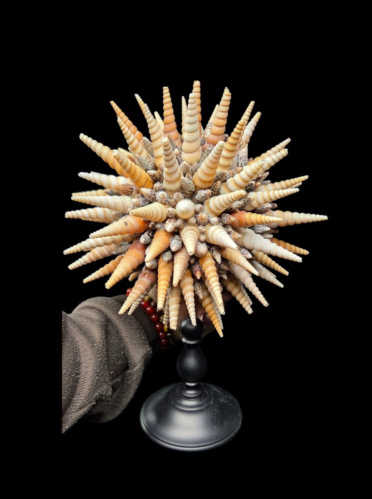 Fabulous shell star creation on metal display stand ( diameter 26 cm ) - 立体透视模型 - 1990-2000 #1.0