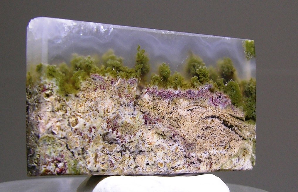 Achát Csiszolt - Magasság: 35.6 mm - Szélesség: 18.8 mm- 6.7 g - (1) #4.3