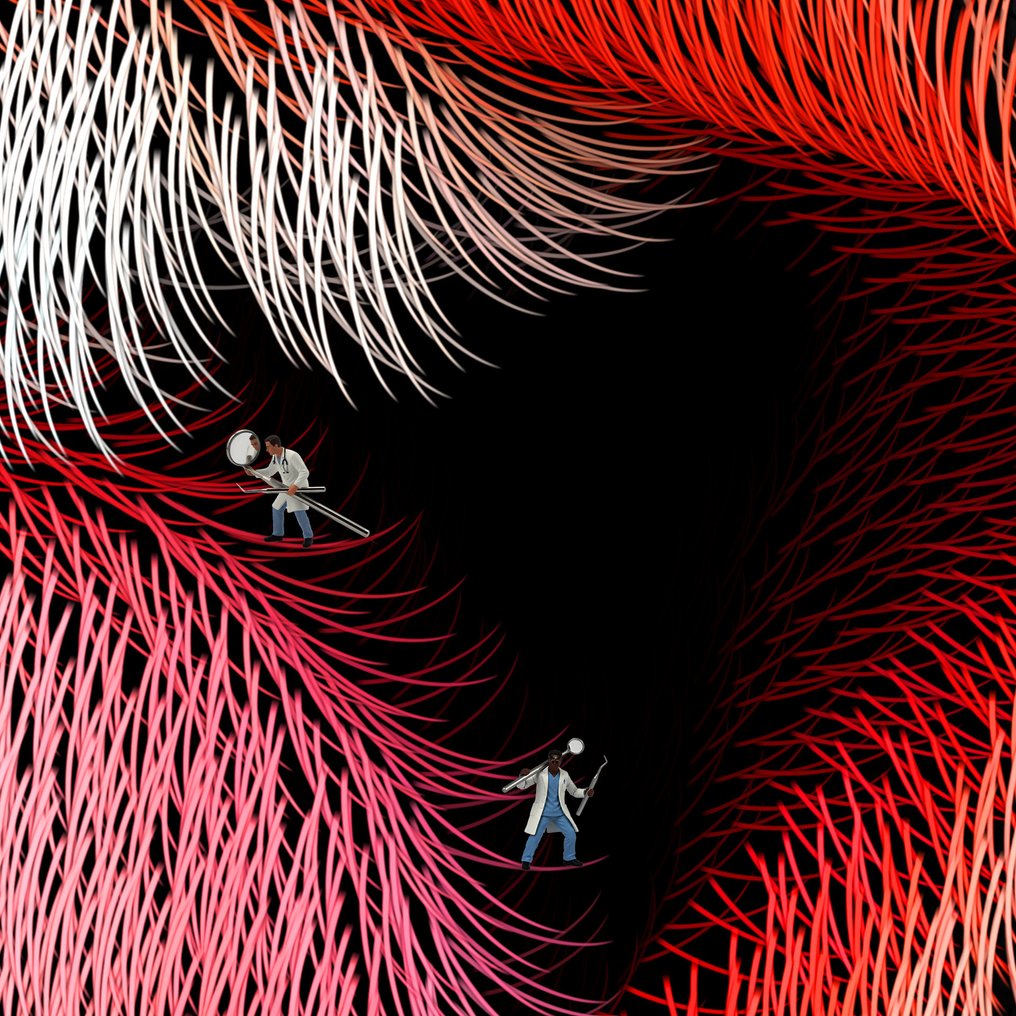 Erin-Durieu - Poils aux dents #3.2