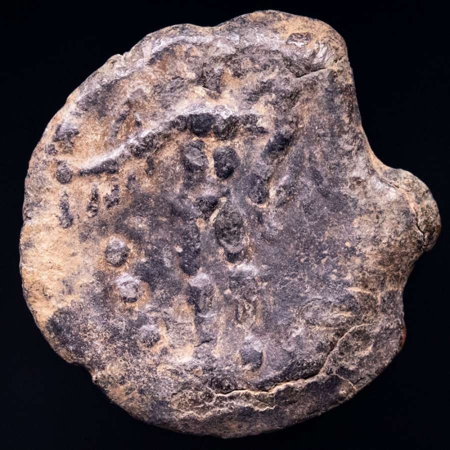 羅馬帝國 (省). Corduba. Semis minted between Julius Caesar and Pompeius sons (Civil War 45-44 B.C.) (沒有保留價) #1.0