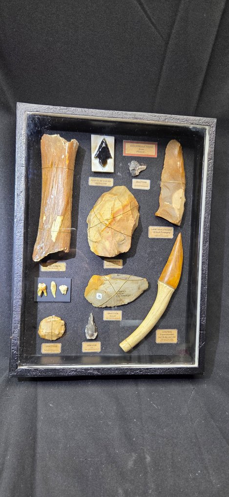 Neolithic Neolithiques tools from France  and bison fossilized bone incide wood glass farm - 60 cm #1.0