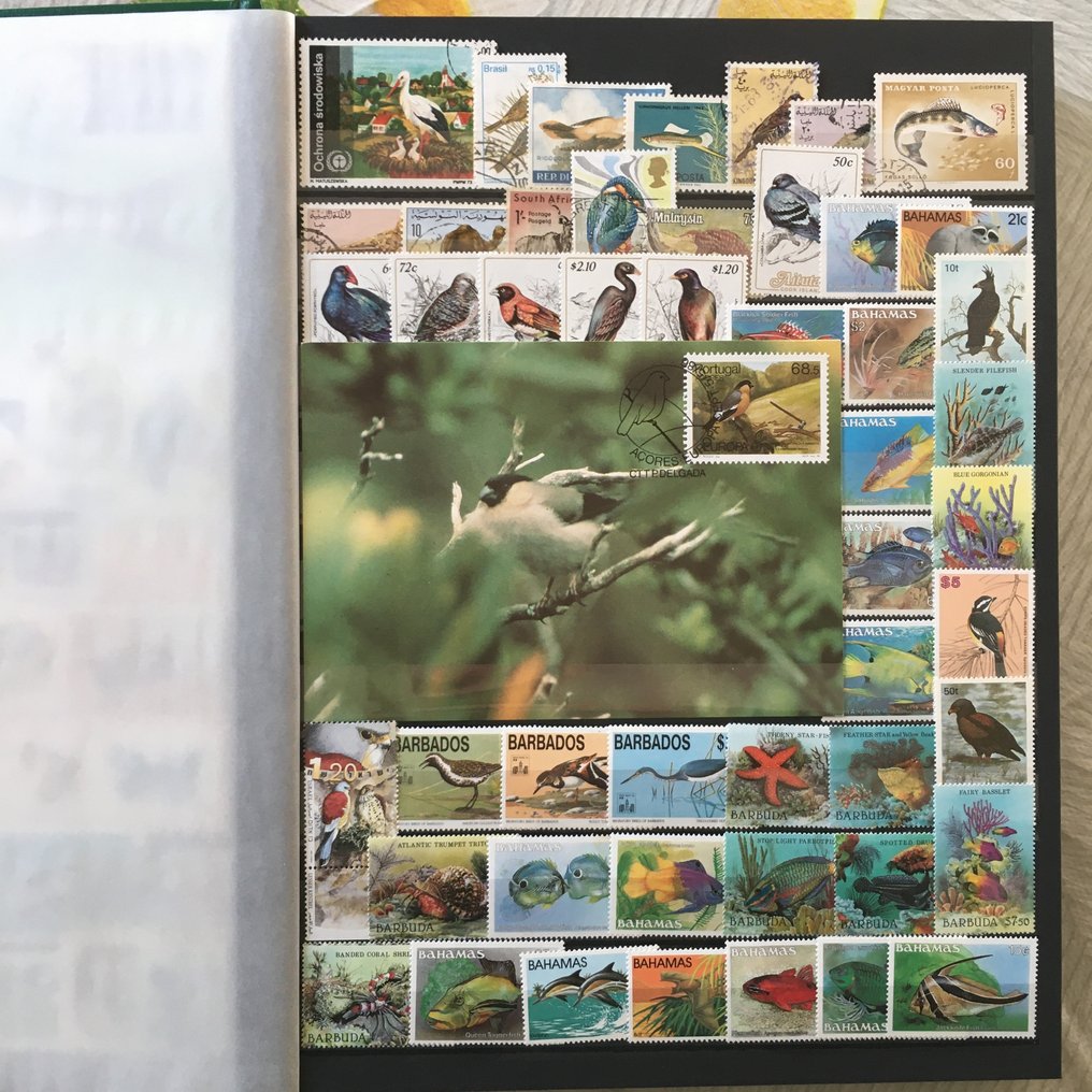 世界  - 来自世界各地的全新和已使用的邮票收藏，包括主题为动物的FDC（首日封）和邮票。 #3.2