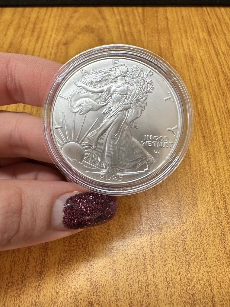 美国. 1 Dollar 2025 "Liberty"  (没有保留价) #1.0