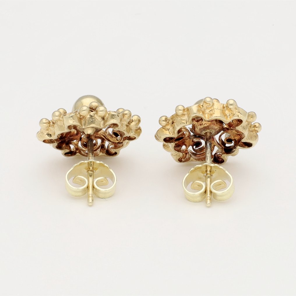 Earrings - 14 kt. Yellow gold #2.1