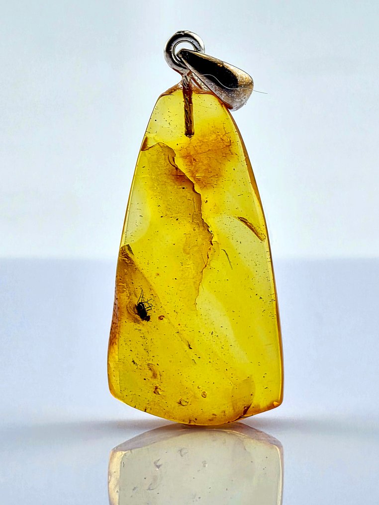 Collector’s Eocene Baltic Amber Vedhæng – Ancient FLY Inklusion – Sjælden Naturlig Eksemplar - Rav (Ingen mindstepris) #2.1