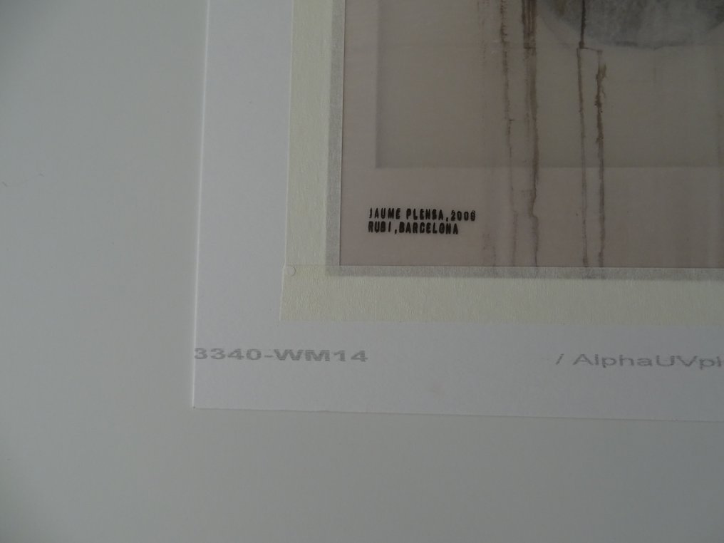 Jaume Plensa (1955) - Art #2.1