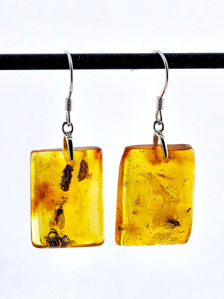 稀有波罗的海琥珀耳环——寄生蜂和苍蝇包裹物天然化石首饰 - 琥珀  (没有保留价) #2.1