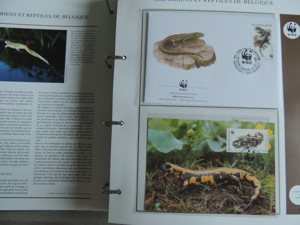 W.W.F.  - 邮票系列收藏，包括FDC（首日封）和卡片，装订在四个册子中。 #2.1