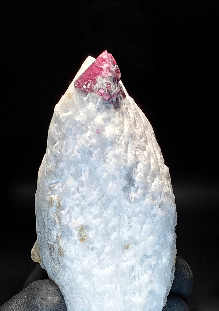 Spinello fluorescente, Βιετνάμ - Ύψος: 8 cm - Πλάτος: 9 cm- 432 g #2.1