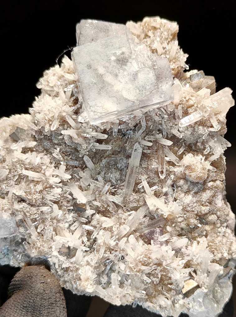 Φθορίτης Κρύσταλλος σε χαλαζία - Ύψος: 8 cm - Πλάτος: 9 cm- 315 g #1.0