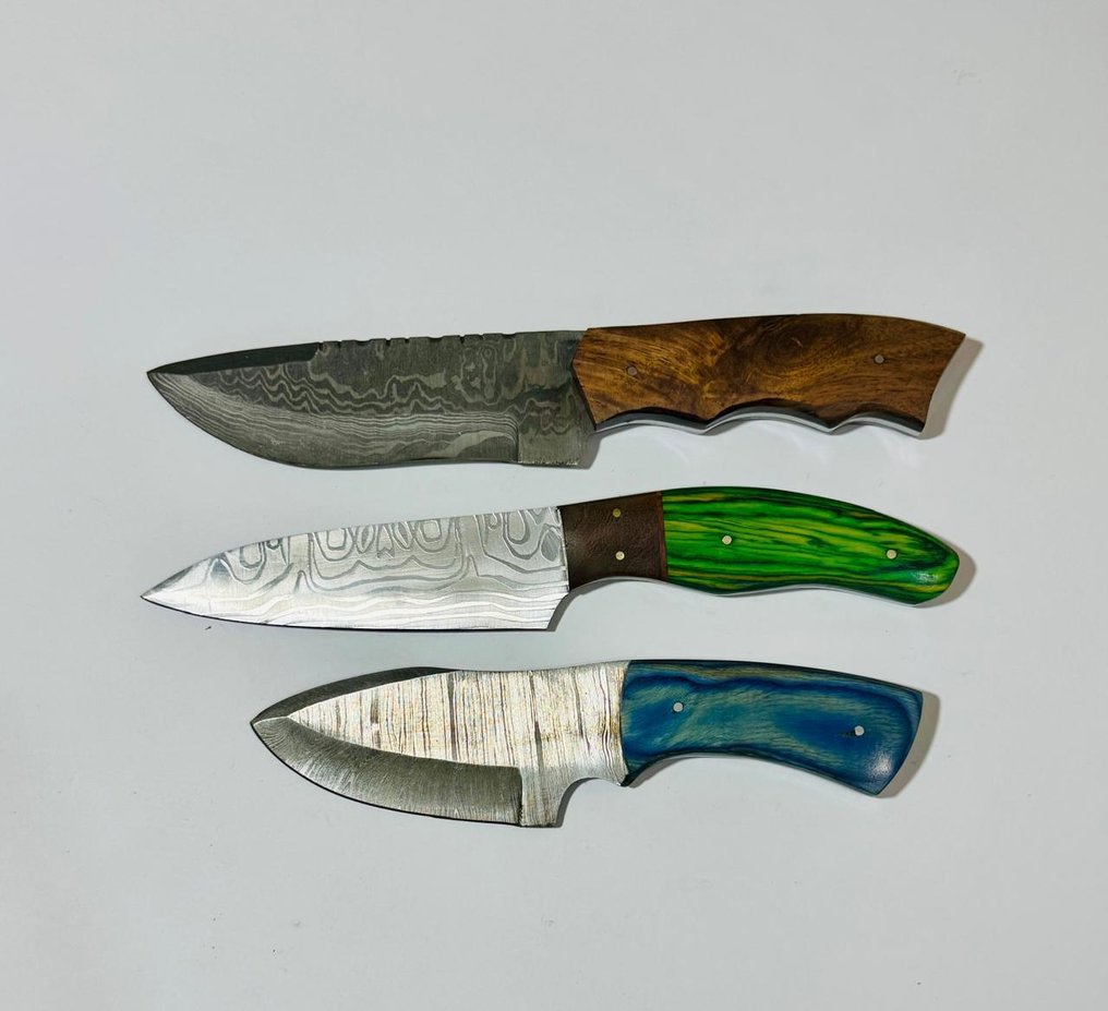 厨刀 -  厨房桌子刀 (0098) - 美国异国木柄与折叠钢 - 美国 - 厨房用刀 #1.0