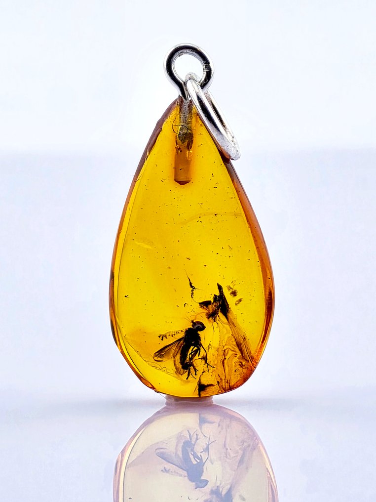 独特蜂蜜波罗的海琥珀吊坠——飞虫包裹——拥有四千万年的历史 - 琥珀  (没有保留价) #1.0