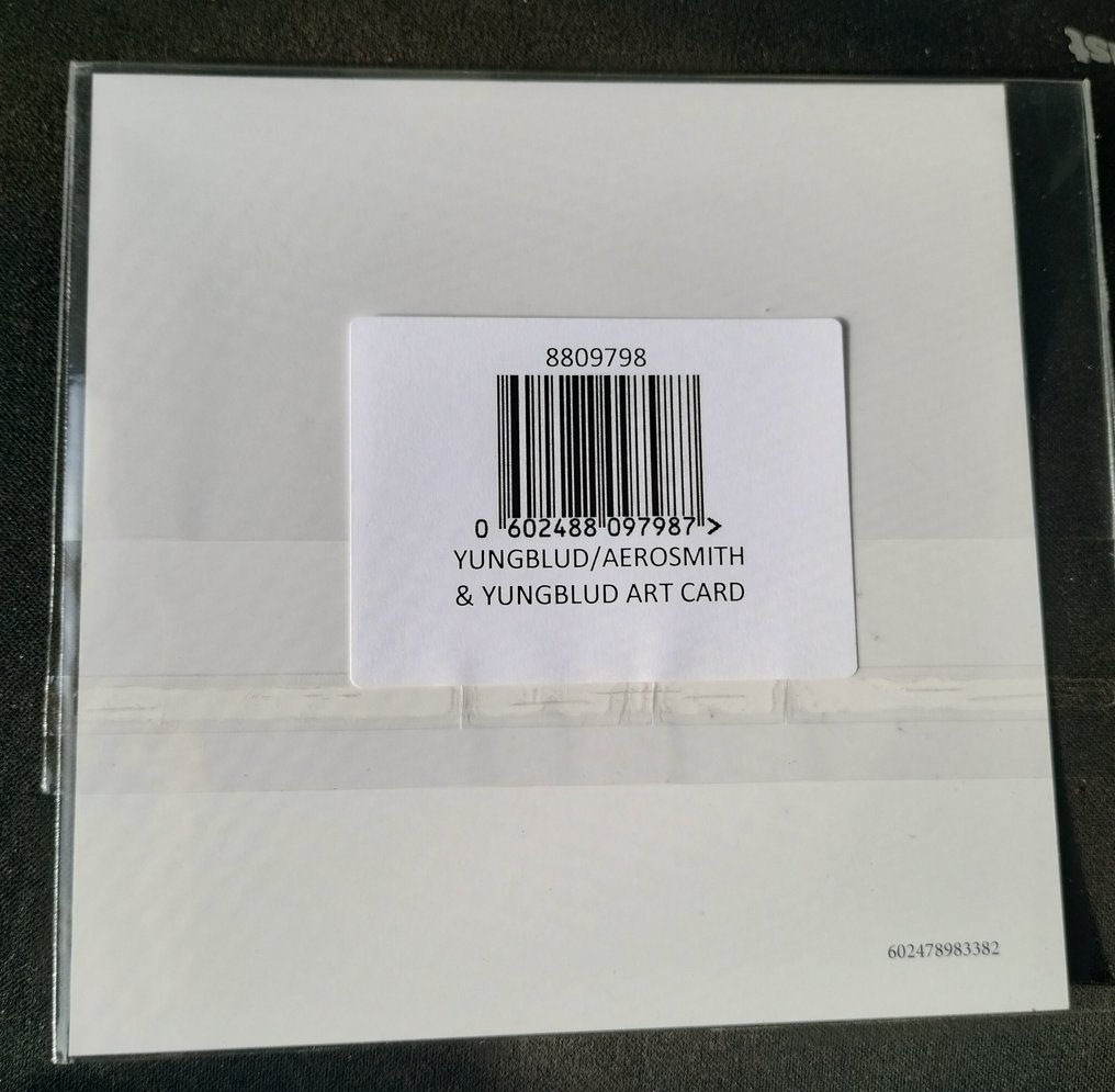 Aerosmith, Yungblud - Ancora una volta, art card - 2025 - Con firma autografa, Edizione limitata #2.1