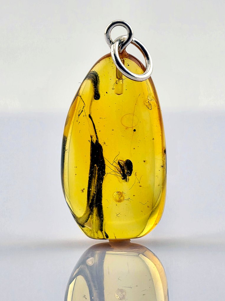 华丽的透明琥珀吊坠——细致的寄生蜂与气泡细节 - 琥珀 (没有保留价) #1.0