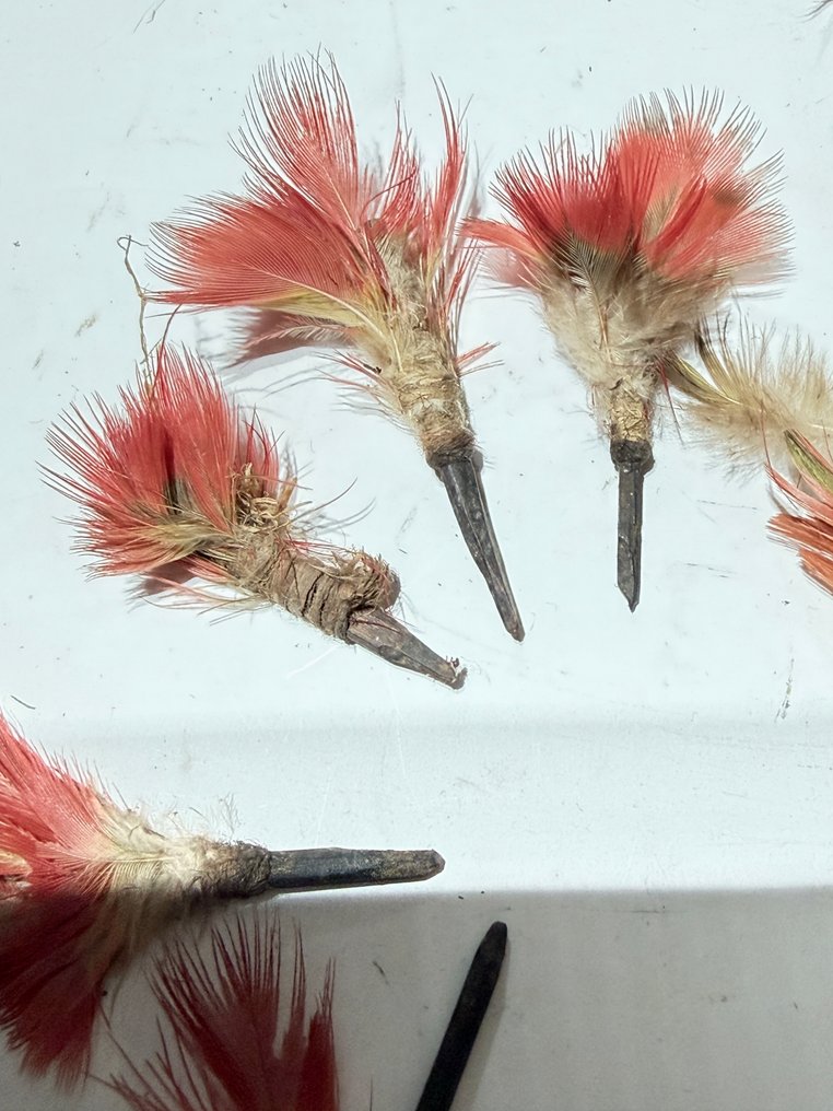 1950 set of tiny feather decorations in a pouch of natural fiber - star mountains - highlands - west Papua (No reserve price) #2.1