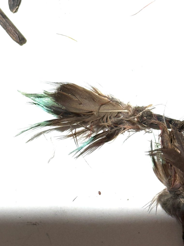 1950 set of tiny feather decorations in a pouch of natural fiber - star mountains - highlands - west Papua (No reserve price) #3.2