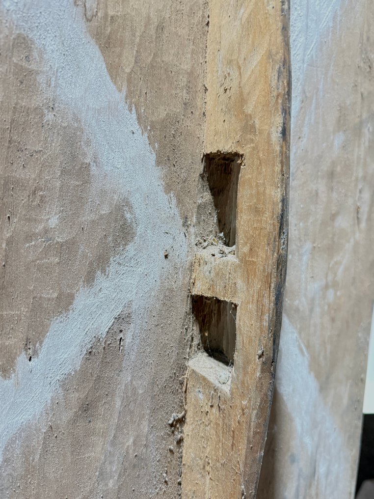 Escudo de combate do headhunter - Asmat - West Papua  (Sem preço de reserva) #4.3