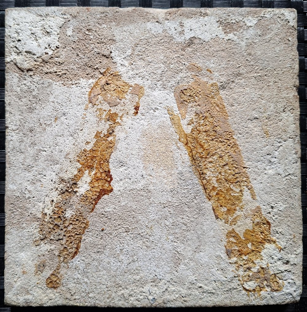  Tile - Antique Delft blue tile with a flag bearer. - 1600-1650  #1.0