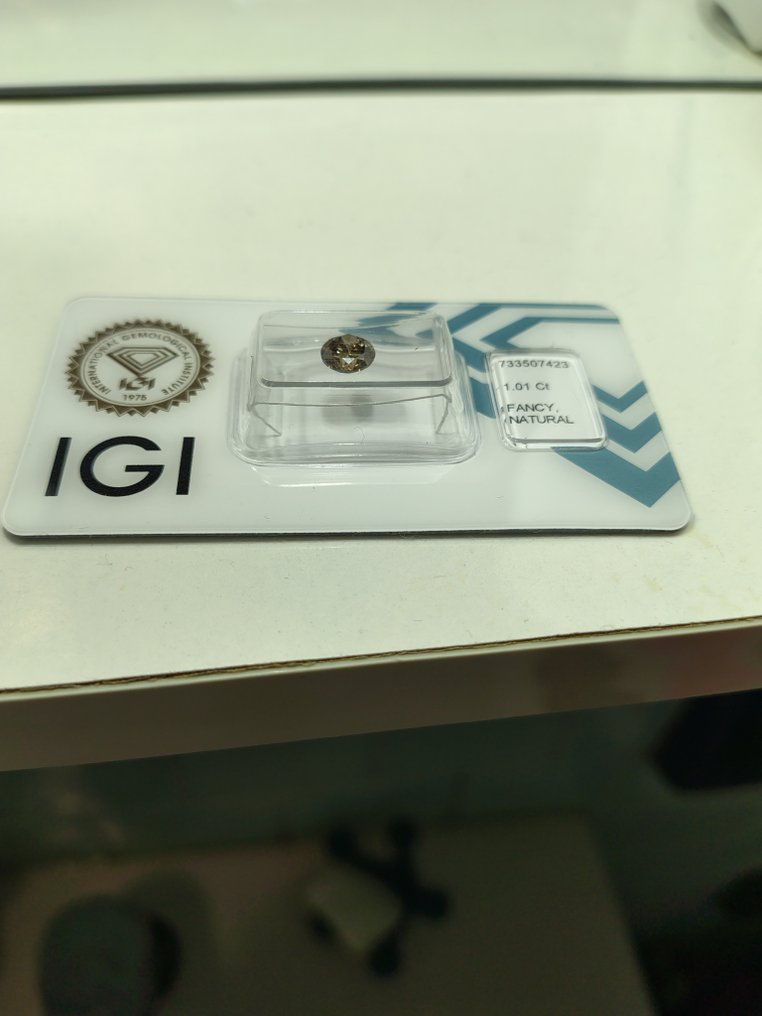 没有保留价 - 1 pcs 钻石  (天然)  - 1.01 ct - 圆形 - I1 内含一级 - 国际宝石研究院（IGI） #1.0