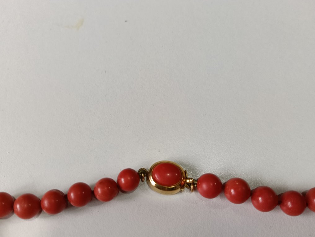 χωρίς τιμή ασφαλείας - Στολίδι στήθους - 18 καράτια Κίτρινο χρυσό Κοράλλι αίματος - Διαμάντι #3.2