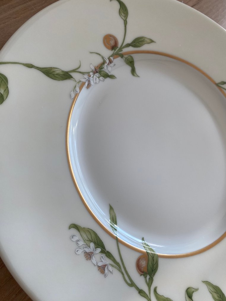 Limoges - Philippe Deshoulieres - Serving plate (6) - Orangeraie - Porcelain - presentation plate #4.3