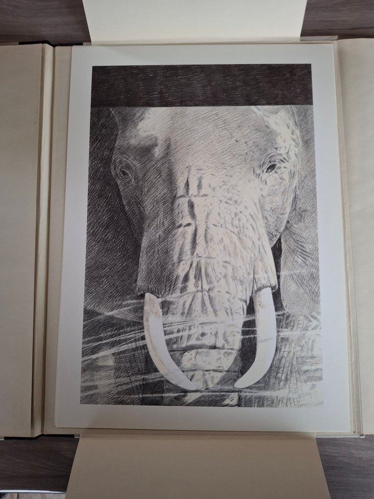 Claude Renard - 1 Portfolio - Zoo Maubeuge - 1994 #4.3