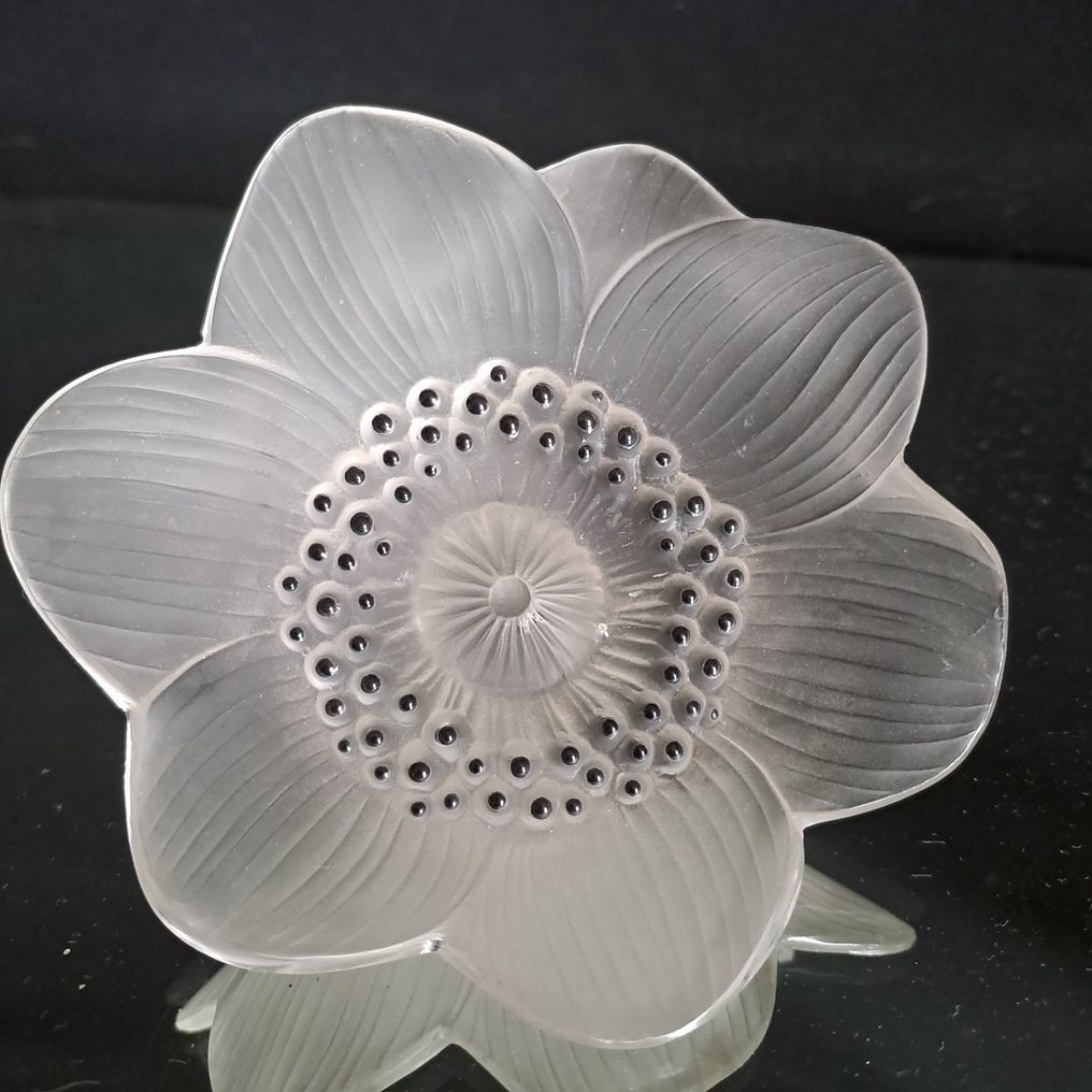 Lalique - Carving, Anémone - 9 cm - Crystal #3.2