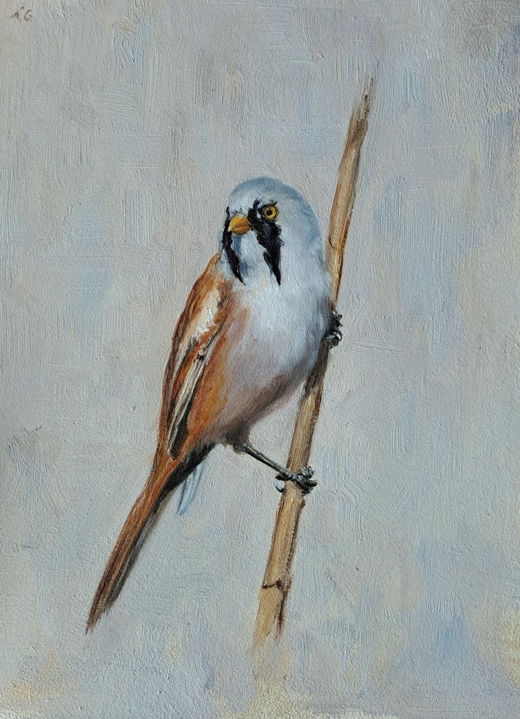 Laurens Groeneveld (1988) - Baardmannetje #1.0