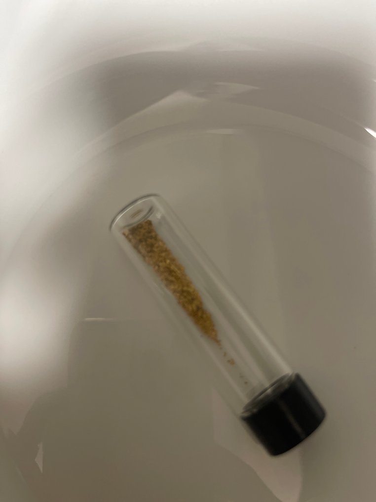 Aur Colecție de Minerale - Înălțime: 1 cm- 1 g - (1) #1.0