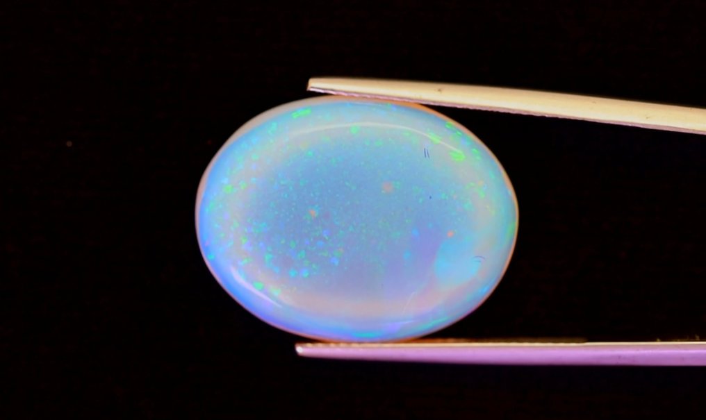 Opale Welo 质量 AAA +++ 15,75 克拉 磨光 - 高度: 23 mm - 宽度: 18 mm- 3.15 g - (1) #1.0