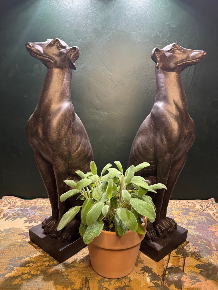 Statue, Greyhound - Set van 2 - 55 cm - Resin #3.2