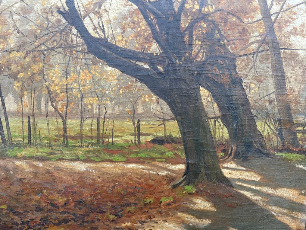 Constant Joseph Alban (1873-1944) - Bosgezicht #1.0