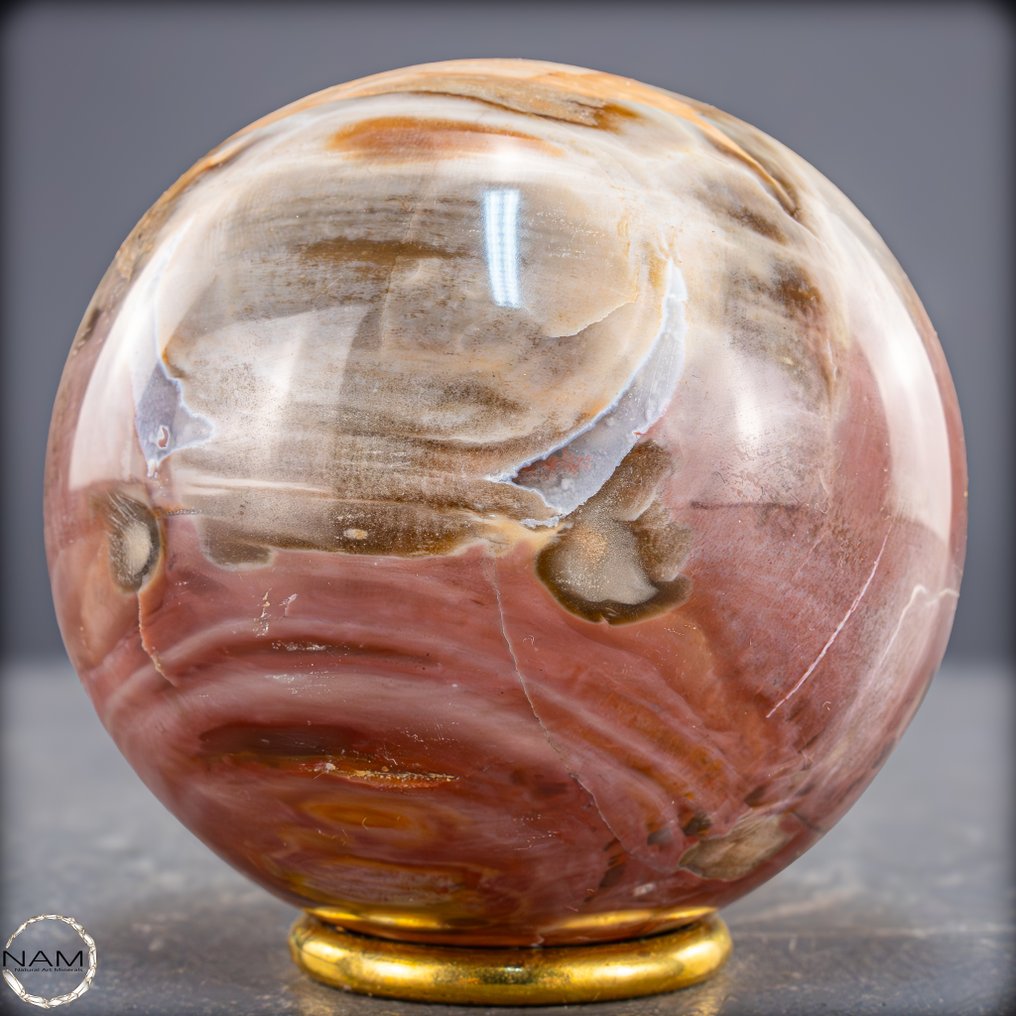 Natural fossil wood sphere Rare fossil with warm, earthy color swirls.- 848.77 g #2.1