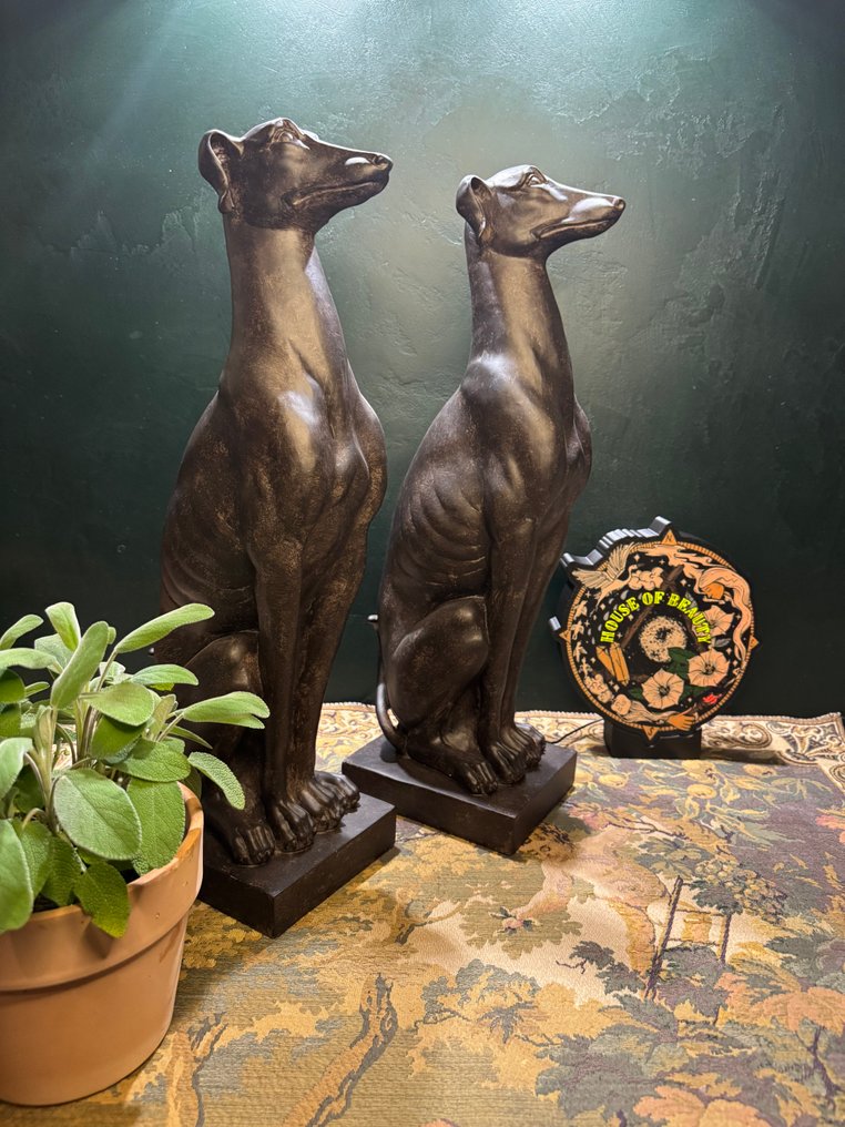 Statue, Greyhound - Set van 2 - 55 cm - Resin #1.0