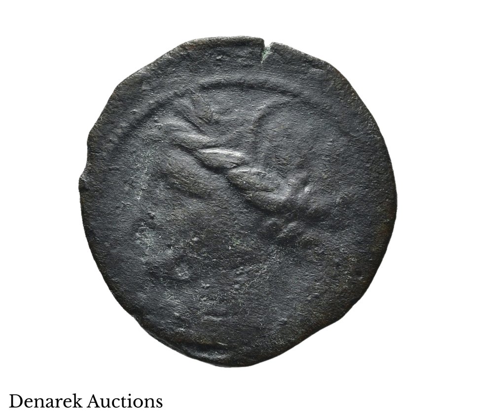 Carthage Æ (Circa 300-264 BC) Sardinia mint. Rare  (No reserve price) #2.1