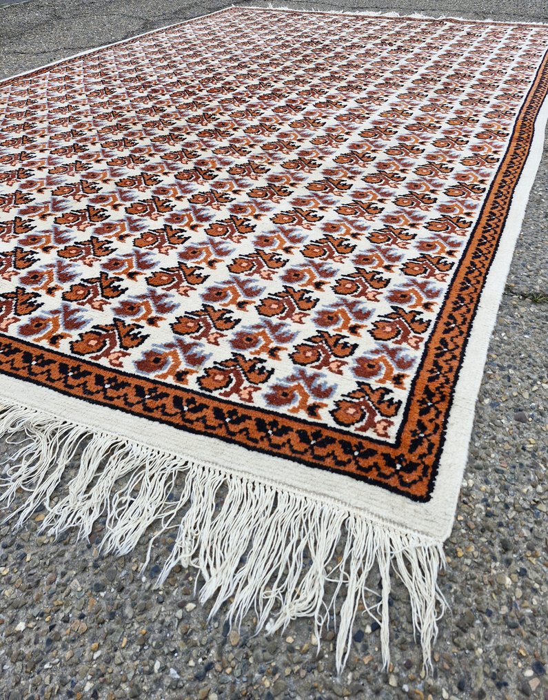 Teppich - 320 cm - 200 cm - Handgeknoopt #2.1