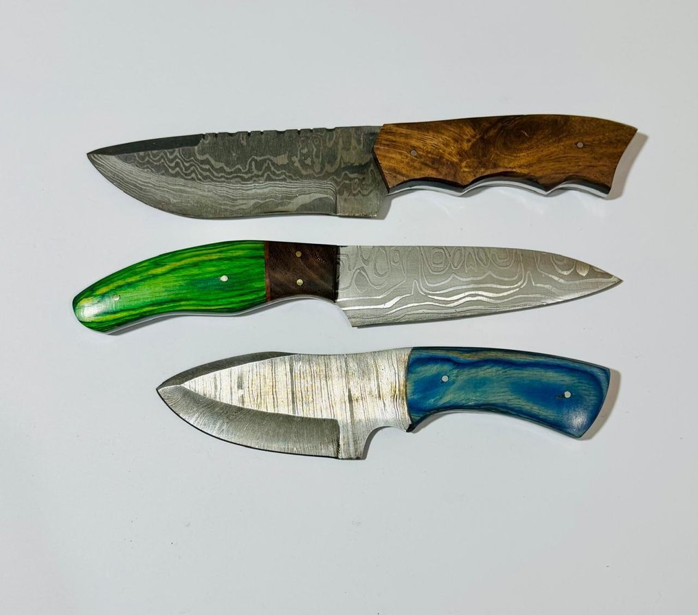 厨刀 -  厨房桌子刀 (0098) - 美国异国木柄与折叠钢 - 美国 - 厨房用刀 #4.3