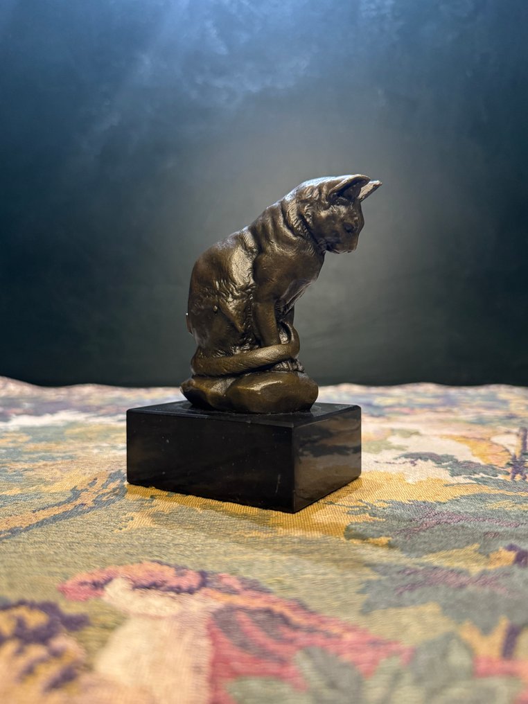Antoine-Louis Barye (1796-1875) - after - 雕塑, Zittende kat - 13 cm - 黄铜色, 大理石 #3.2