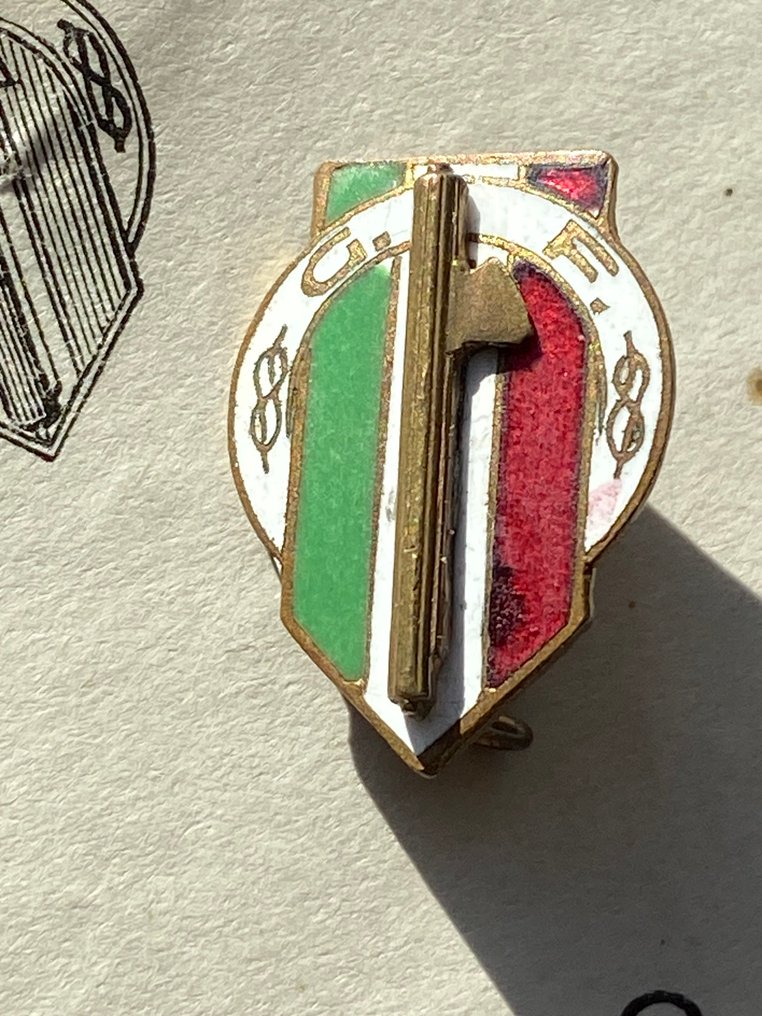 意大利 - 军事勋章 - 法西斯主义 - 青年法西斯分子的标志和签名文件，Vascello PNF 医生的真实性文件 - 1936 #1.0