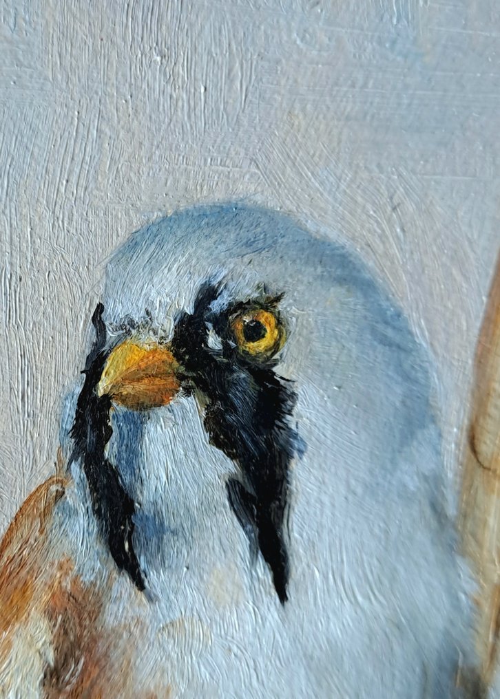 Laurens Groeneveld (1988) - Baardmannetje #4.3