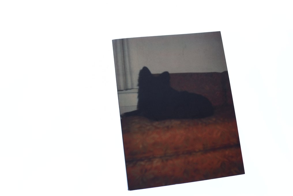 Erik Kessels - In Almost Every Picture - 2010-2010 #1.0