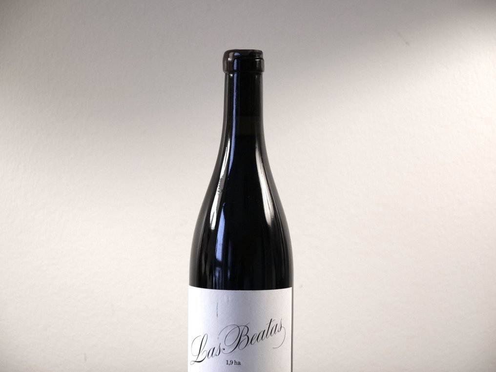 2019 Bodegas Lanzaga - Telmo Rodríguez, Las Beatas - Ριόχα DOC - 1 Φιάλη (0,75L) #1.0