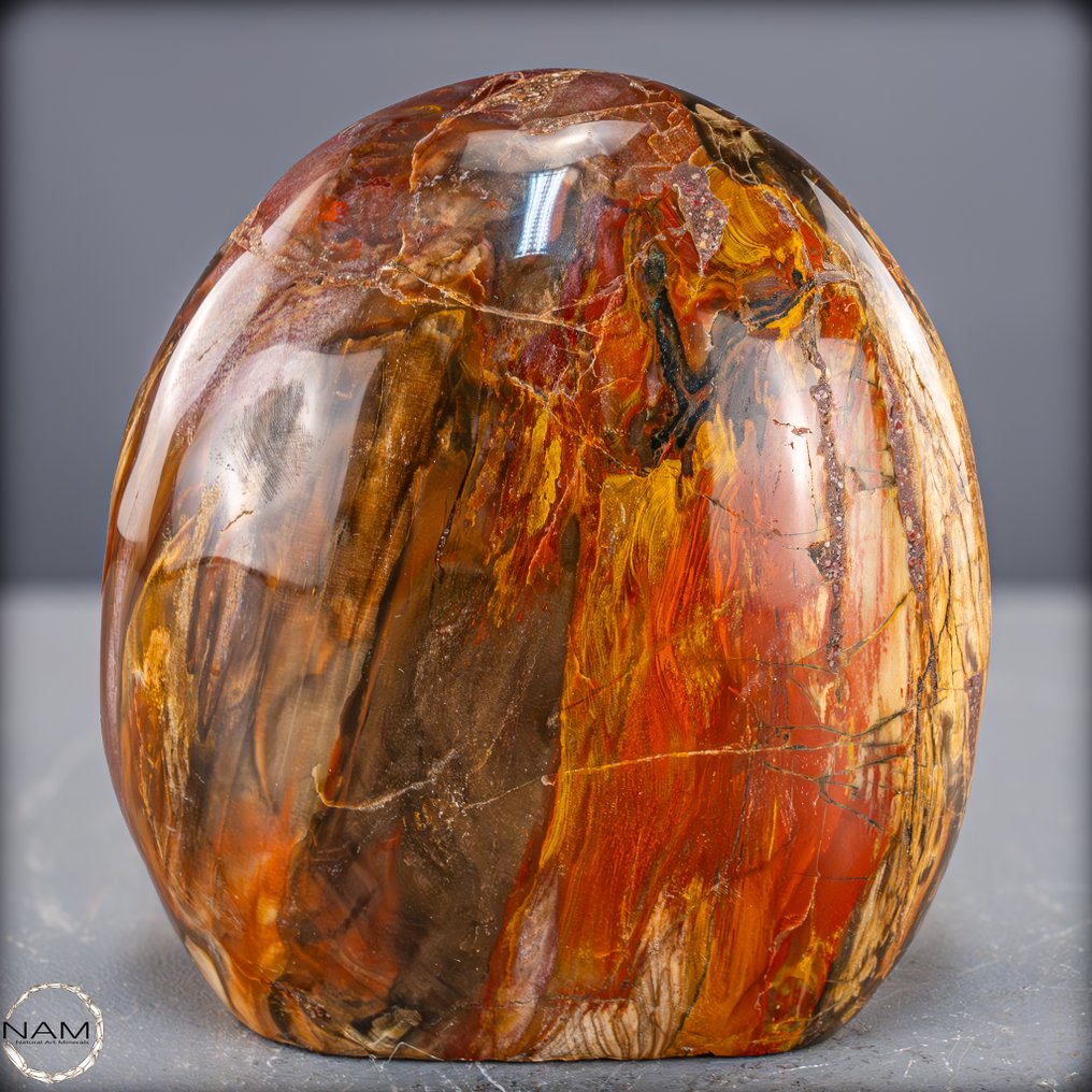 Fiery beauty from prehistoric times – natural fossilized wood. Freeform from Madagascar- 2917.17 g #2.1